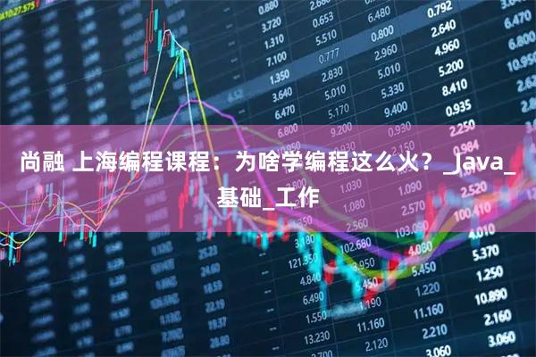 尚融 上海编程课程:为啥学编程这么火?_Java_基础_工作