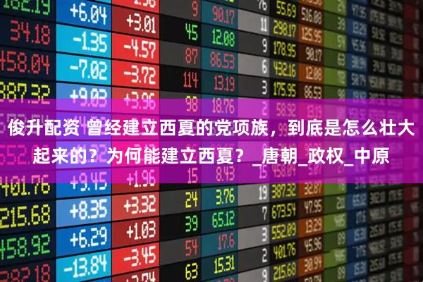 俊升配资 曾经建立西夏的党项族,到底是怎么壮大起来的?为何能建立西夏?_唐朝_政权_中原