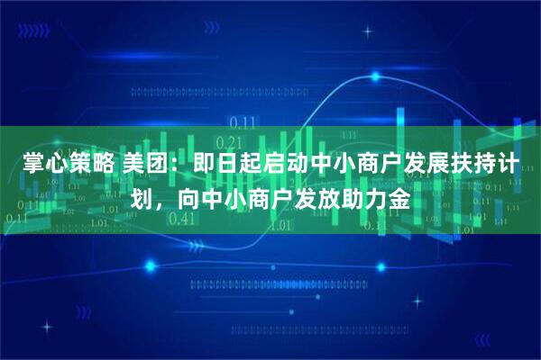 掌心策略 美团：即日起启动中小商户发展扶持计划，向中小商户发放助力金