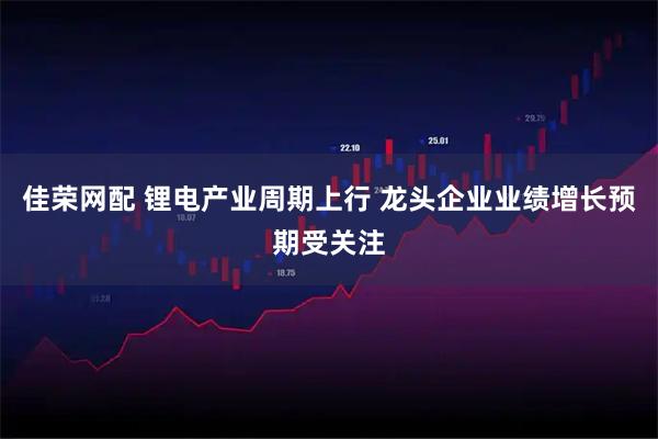 佳荣网配 锂电产业周期上行 龙头企业业绩增长预期受关注